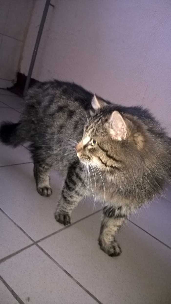    ,   , , 
