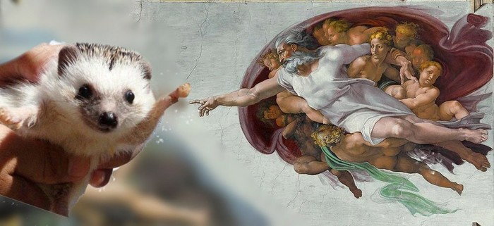 ���������� �����