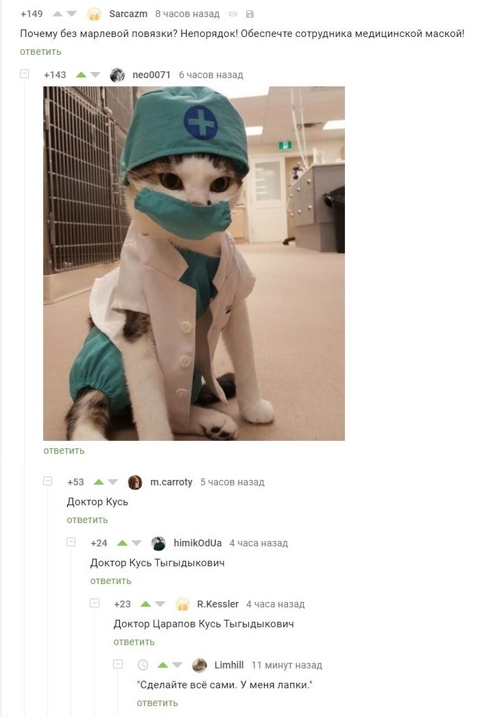 Doctor Kus. - cat, Comments on Peekaboo, Kus, Doctor, Screenshot