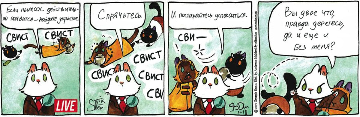 Cute Cat Перевод