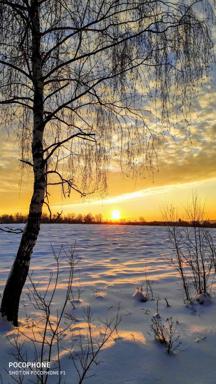 From dawn to dusk. - My, Pocophone F1, dawn, Battle of sunsets, Longpost, Xiaomi