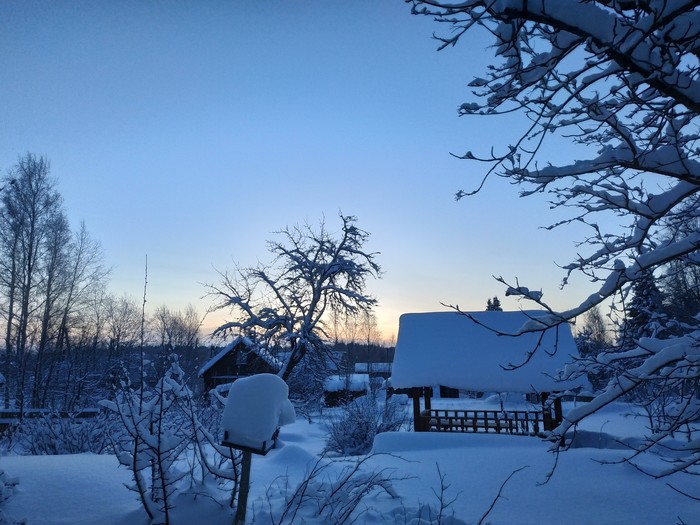 Frosty morning - My, The photo, Winter, freezing, cat, Morning, Longpost