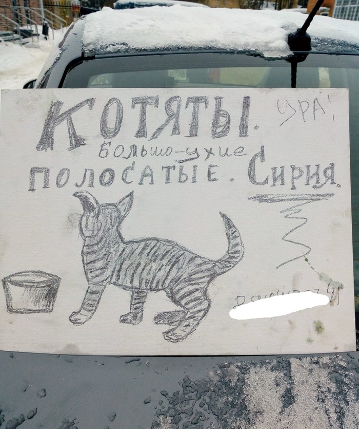 �������, �� �������, �������... ����