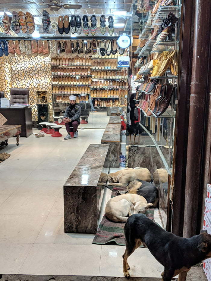 � ���� ������� �������� ����� �������� ����� ���� �����, ��� �������� �������� ����� ��������� � �������� ������ ����.