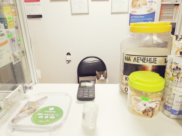 ���� ��������� ��������������