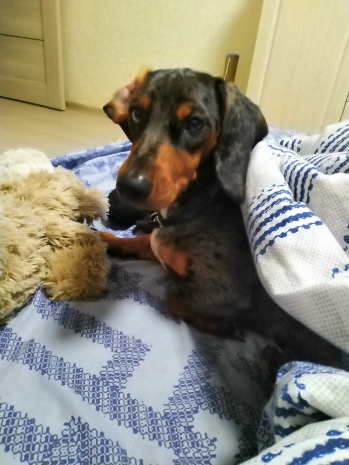 ��� ��� ������ ��������� �� ����������� ����)