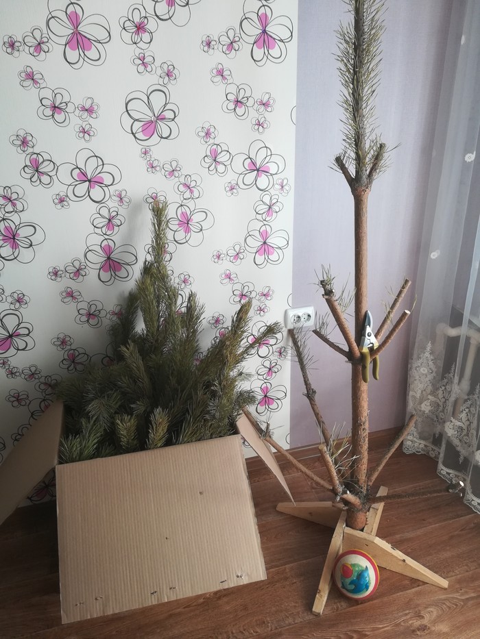 Tree sticks - My, Christmas trees, Savvy, Purity