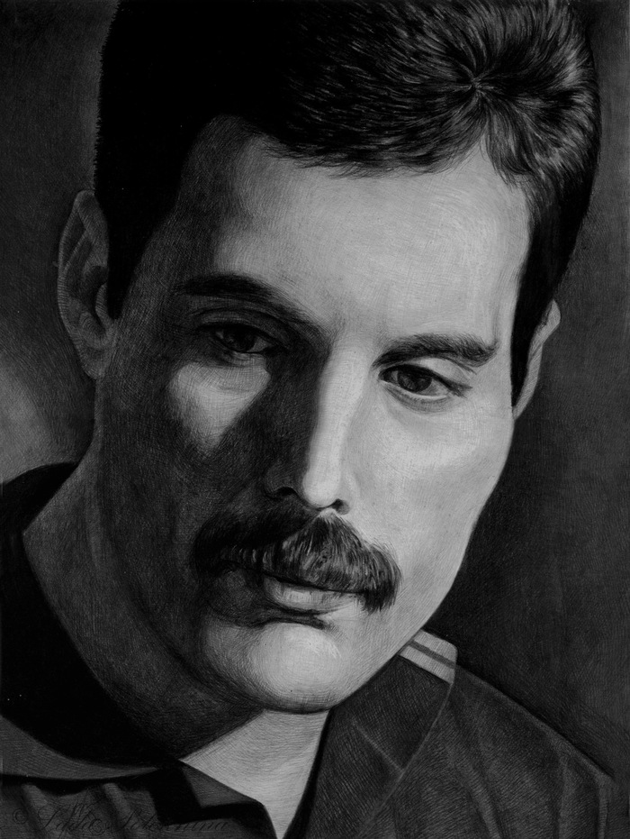 Portrait in pencil. - My, Portrait, Graphics, Simple pencil, Freddie Mercury, Queen, The singers, Musicians, Drawing