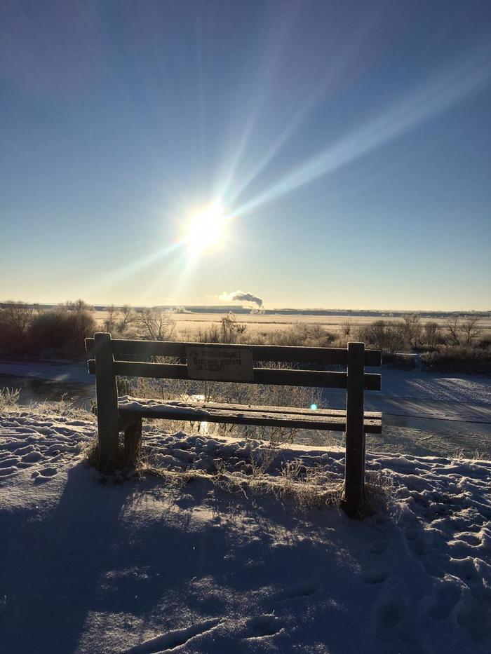 Frosty morning! The brightest sun - this winter! - Winter, freezing, Landscape, Images, Longpost