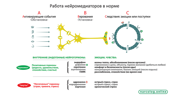 кодирования от алкоголизма одесса