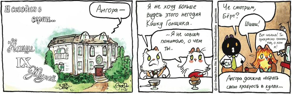 Книжка мошки и коты варят суп