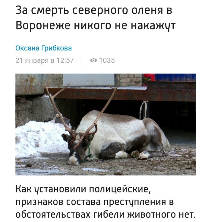 Reindeer death. - Longpost, Text, Deer, People, Who's guilty, Negative, Deer