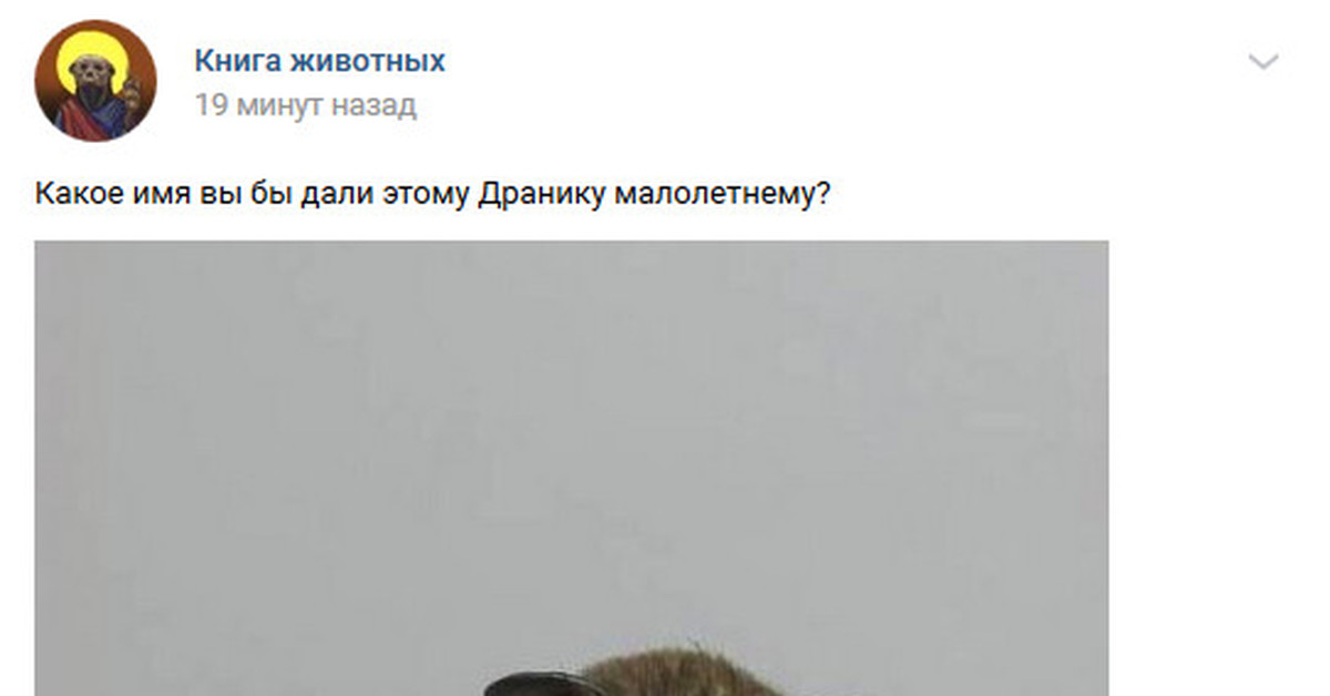 Окрестили | Пикабу