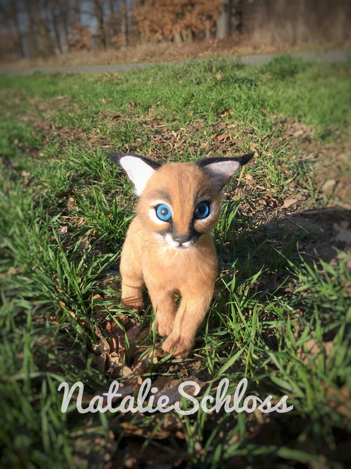 Baby caracal. Dry felting. - Longpost, Young, Dry felting, Needlework without process, My, Caracal