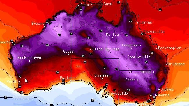 It's hot in Australia. - Australia, Heat, , Climate change, The photo, news, Longpost, Endangered species