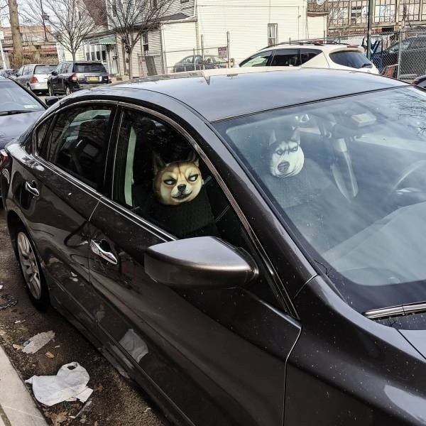 Ну что поехали