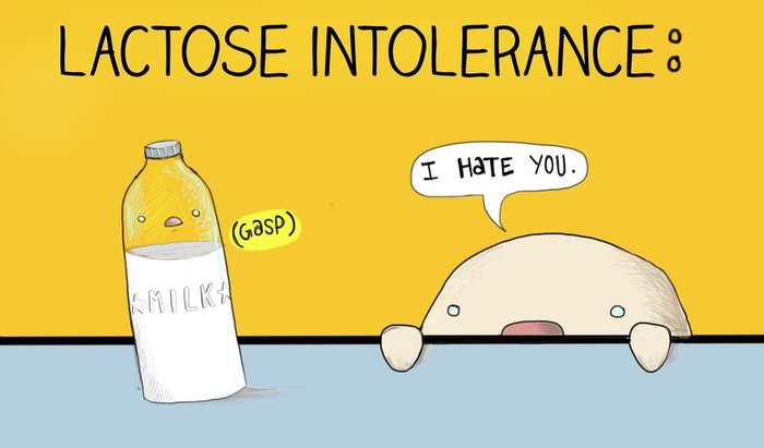 From a white glass to a white friend. Lactose - why intolerance occurs and can something be done about it - My, Milk, Lactose, Nutrition, Health, Longpost