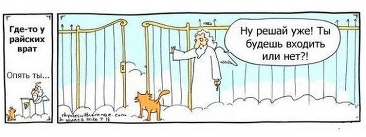Правило 9 жизней. У кошки 9 жизней. Приколы про раю. Анекдоты про Бога, ворота и рай. Почему у кошки девять жизней.