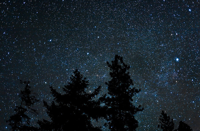 Один из признаков того, что мы инопланетяне