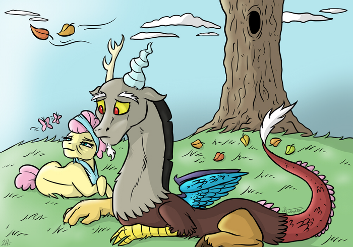 Friendship lasting forever My Little Pony, Fluttershy, MLP Discord, Shimazun