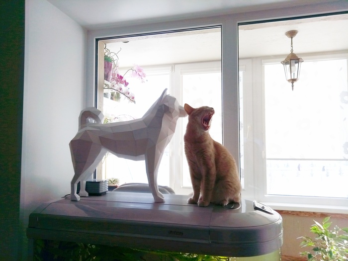 �����!!! ��� ����!! � ��� ��������� ��� �����??