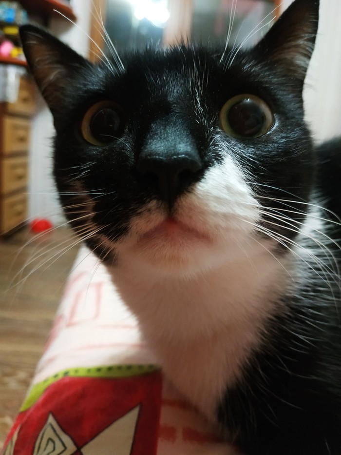  ? , ,  