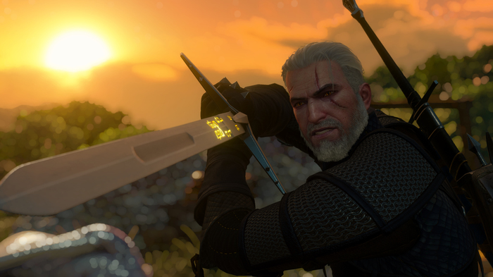 The Witcher 3 - screenshots - My, Witcher, The Witcher 3: Wild Hunt, Screenshot, The Witcher 3: Blood and Wine, The Witcher 3: Wild Hunt, Longpost