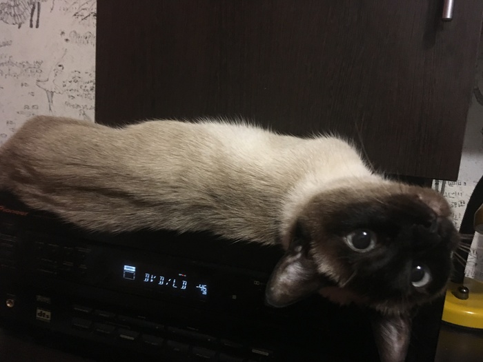 �� ������ ������!