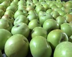 Grocery educational program: trying to figure out the shades of apple - Educational program, Apples, , Longpost