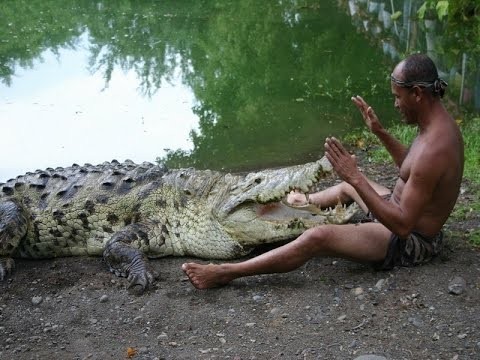 Amazing cases of friendship between animals and humans - Longpost, Interesting, Animals, friendship