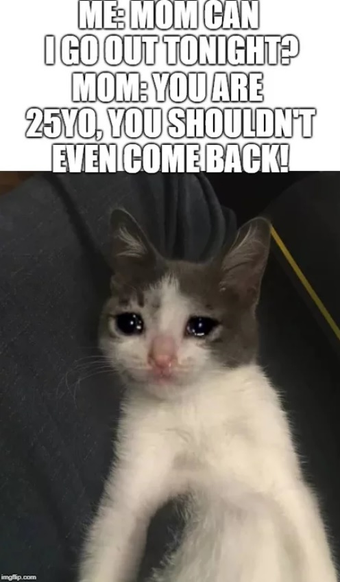 Мам, можно я сегодня не буду ночевать дома?