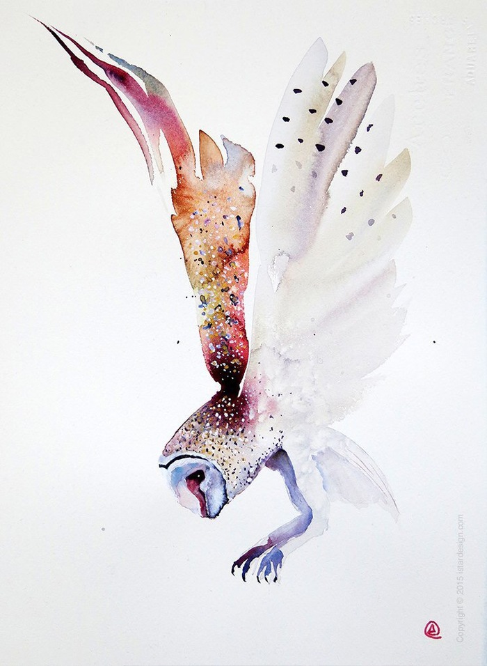 watercolor magic - Art, Art, Watercolor, beauty, Longpost, Birds, Owl, Artist