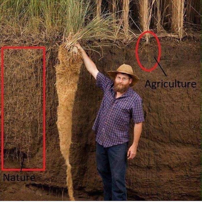    ? (      "no-till") 360,  , , Notill