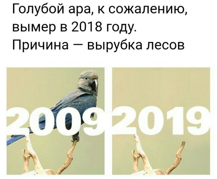 Грустный челлендж - Картинка с текстом, 10yearschallenge