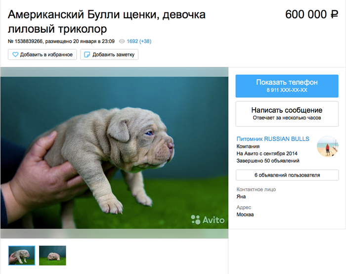 Собака за 1000000 рублей
