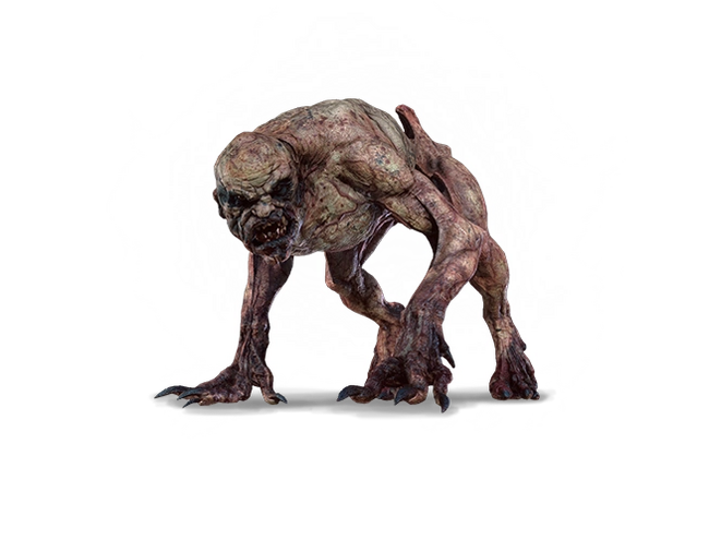 ���� �� ������� �����