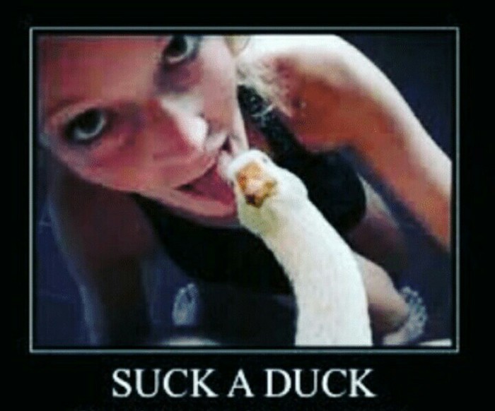 Sak may duck. Suchata. - NSFW, 