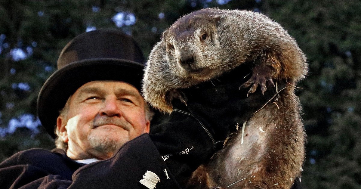 Сурок 2020. Панксатонский фил сурок. Сурок 2020. Сурок 2020. День сурка 2020.