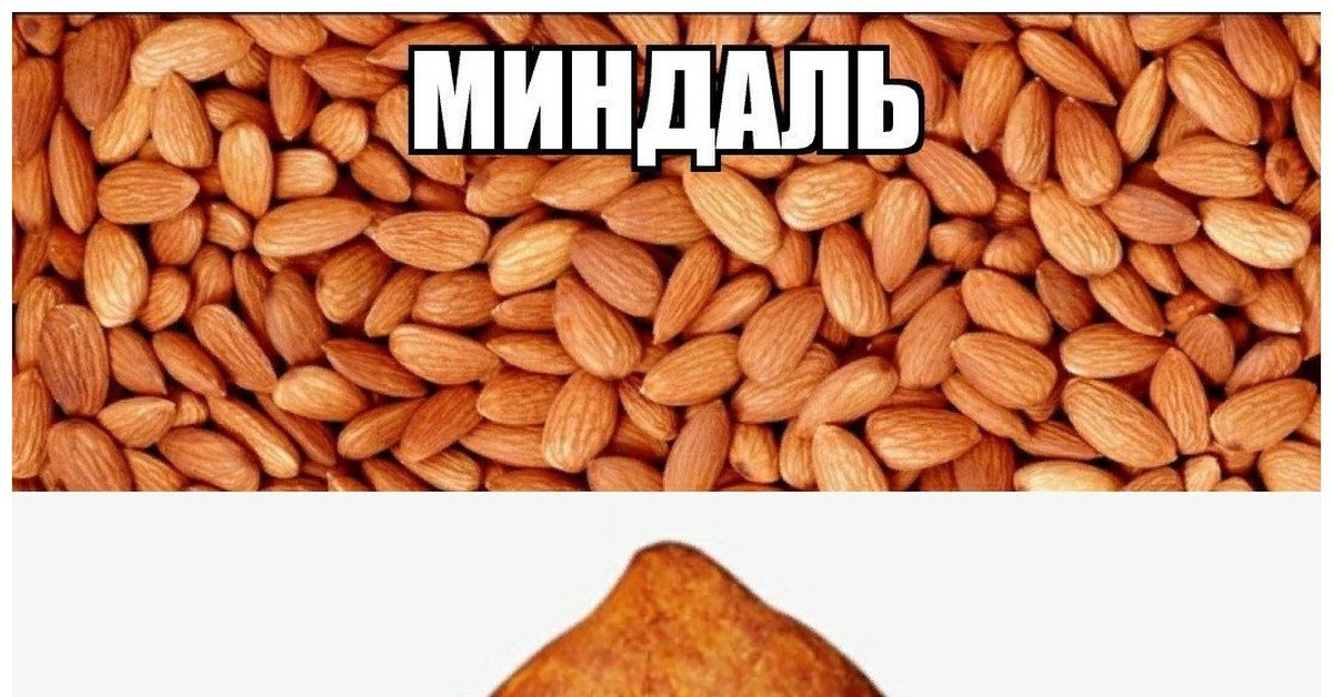 Картинка миндальная связь мем