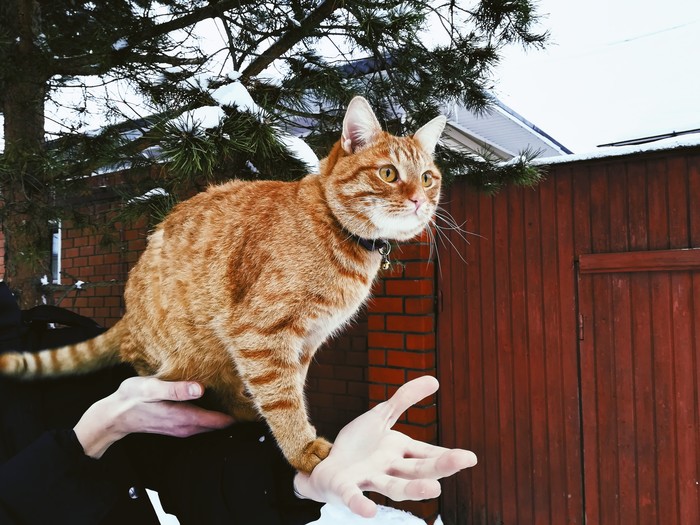 �������