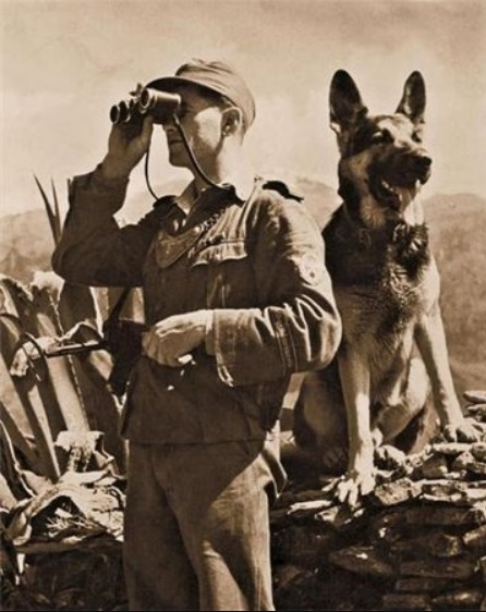Feldgendarmerie - chain dogs of the Fuhrer - Military Police, Gendarmerie, Wehrmacht, , Story, The Second World War, Longpost, A uniform