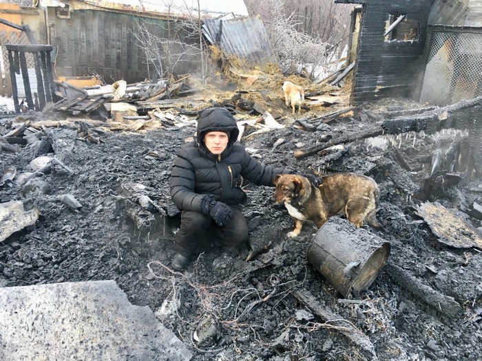 Help the shelter - Shelter, Chelyabinsk, Fire, No rating, Animals, Trouble