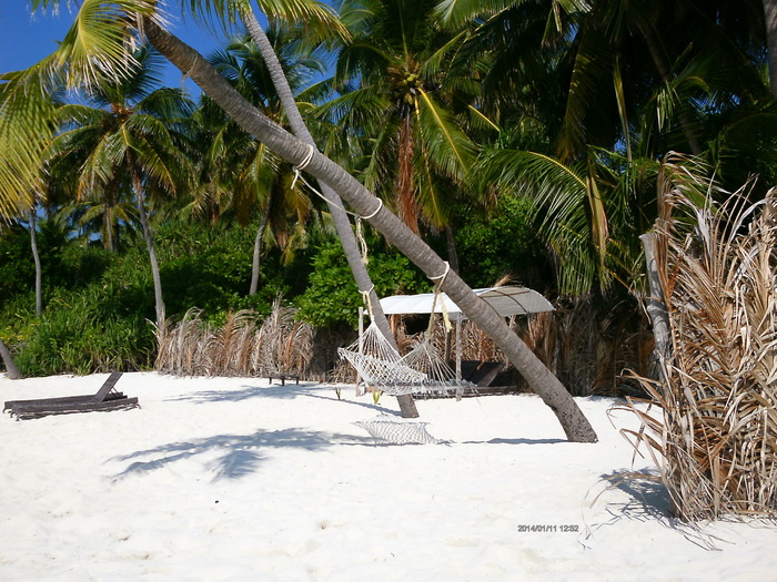 Low budget Maldives. Himandu Island. Part 2 - My, Maldives, , Longpost