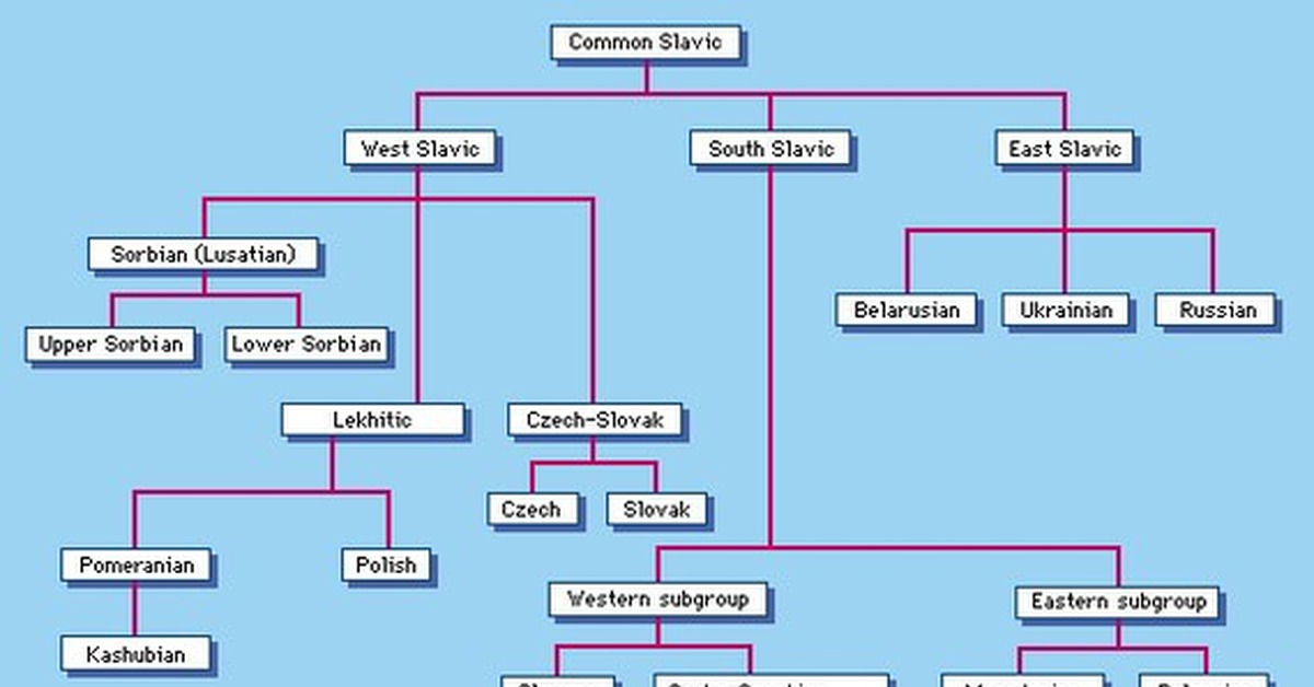 Славянские языки. Славянские языки Древо. Западная ветвь славянских языков. Балто-славянские языки Древо. Аналитический Славянский язык.