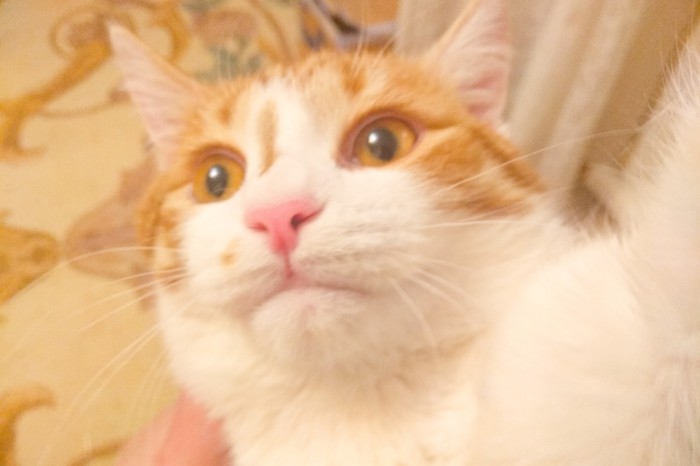    , , , 