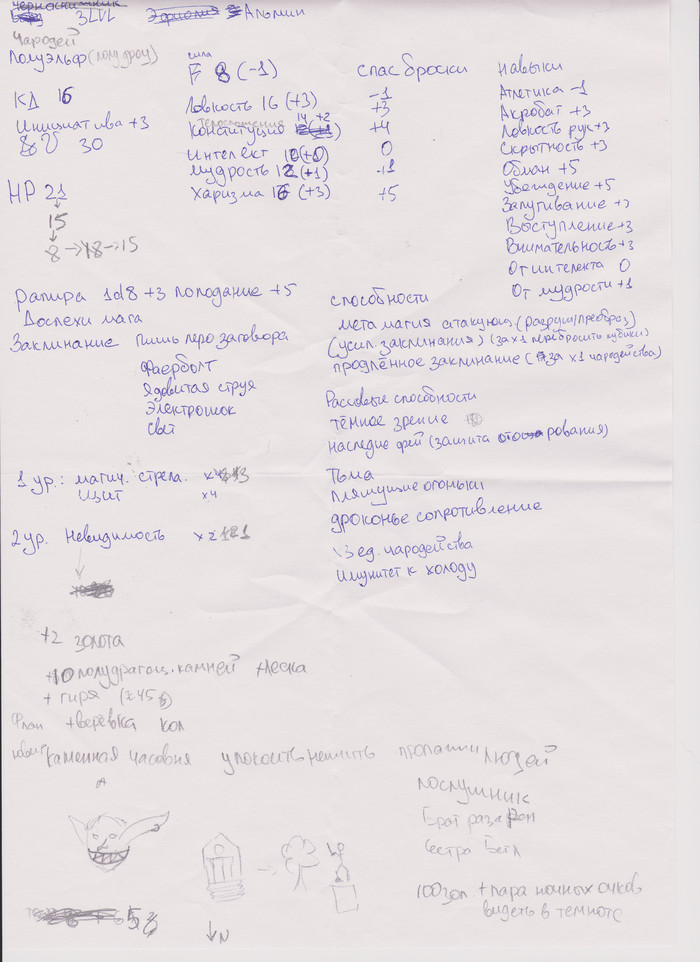 Первое D&D приключение. 5я редакция - Моё, Настольные игры, Настольные ролевые игры, Dnd 5, Челябинск, Кот, Длиннопост