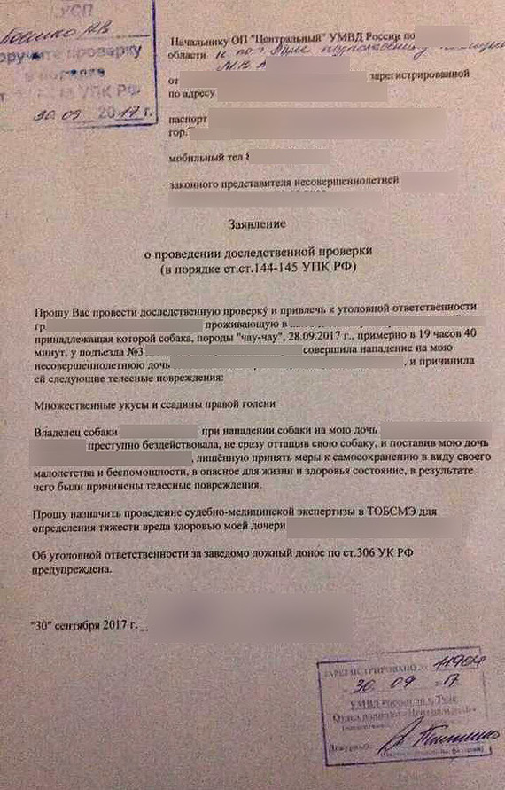 Как на нас напал чау-чау, и чуть не загрыз меня с чихуашкой, часть 1 - Моё, Нападение собак, Собака покусала школьницу, Чихуахуа, Чихуахуа арчи, Видео, Длиннопост