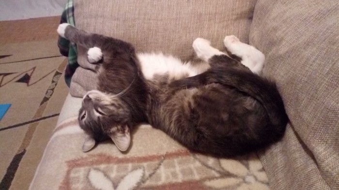 ������ � ��������. (� ������ ������)