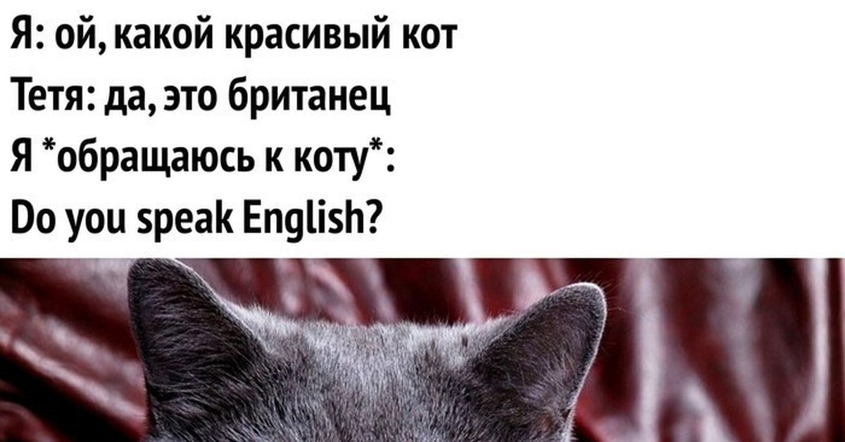 Май инглиш ис бед, из бед и огорчений. | Пикабу