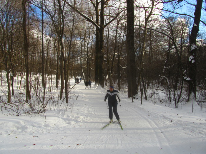 Eh, roads ... - My, Road, Moscow, Story, Bitsevsky Park, Kuzminki, Terletsky Park, Longpost